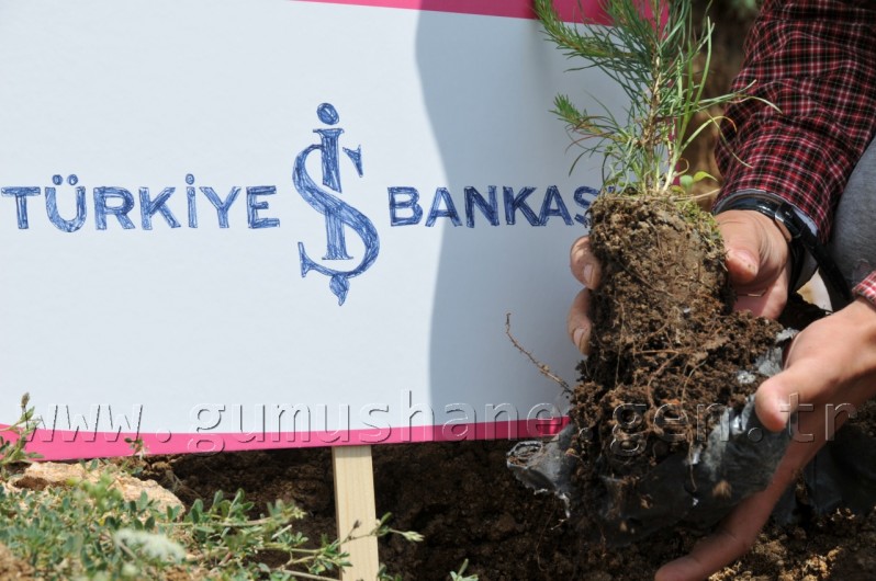 İş Bankası'nın 68.Ormanı Gümüşhane'de 47