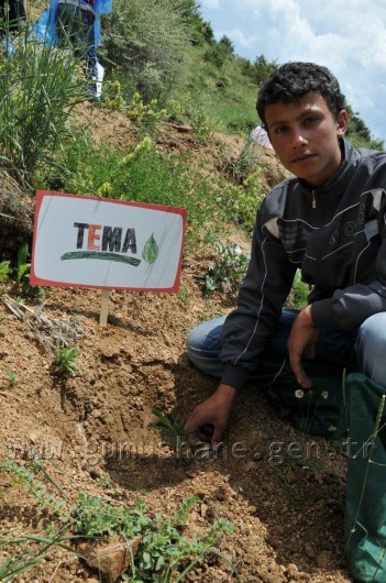 İş Bankası'nın 68.Ormanı Gümüşhane'de 49