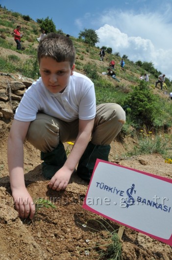 İş Bankası'nın 68.Ormanı Gümüşhane'de 43