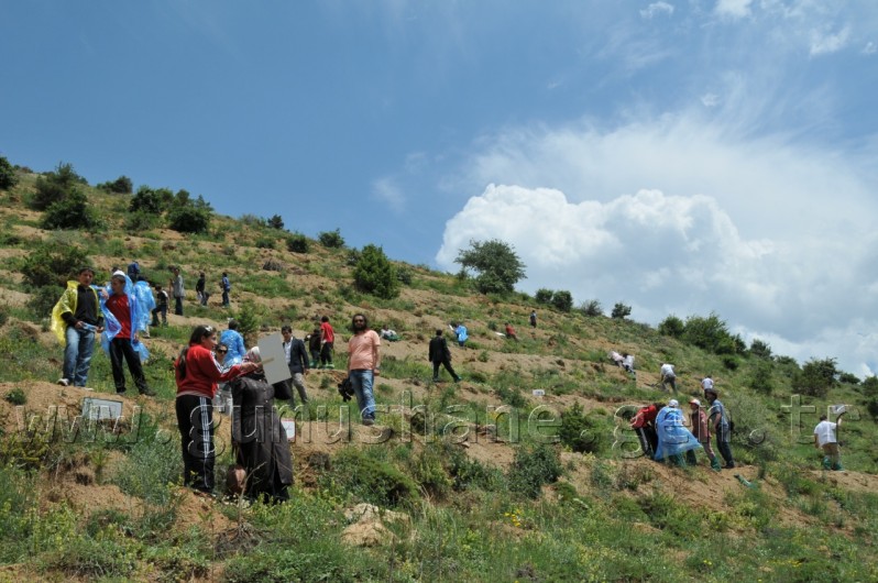 İş Bankası'nın 68.Ormanı Gümüşhane'de 44