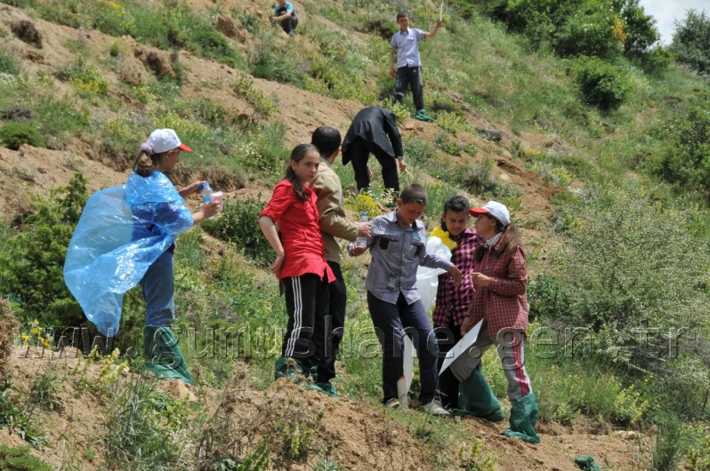 İş Bankası'nın 68.Ormanı Gümüşhane'de 46