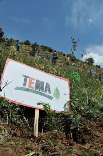 İş Bankası'nın 68.Ormanı Gümüşhane'de 48