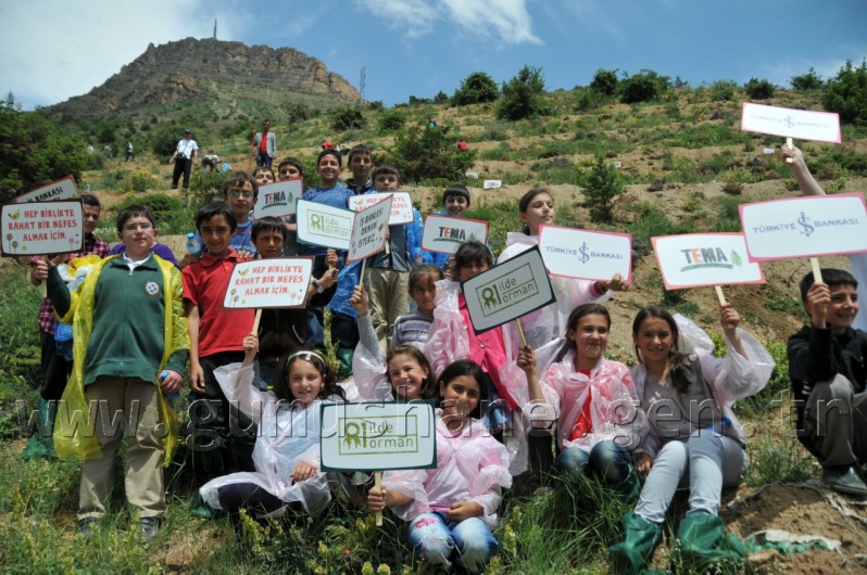 İş Bankası'nın 68.Ormanı Gümüşhane'de 54