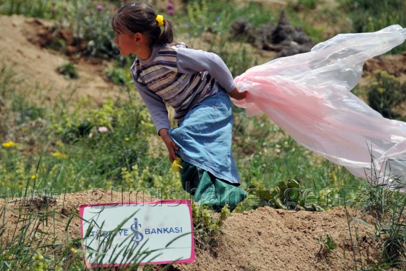 İş Bankası'nın 68.Ormanı Gümüşhane'de 53