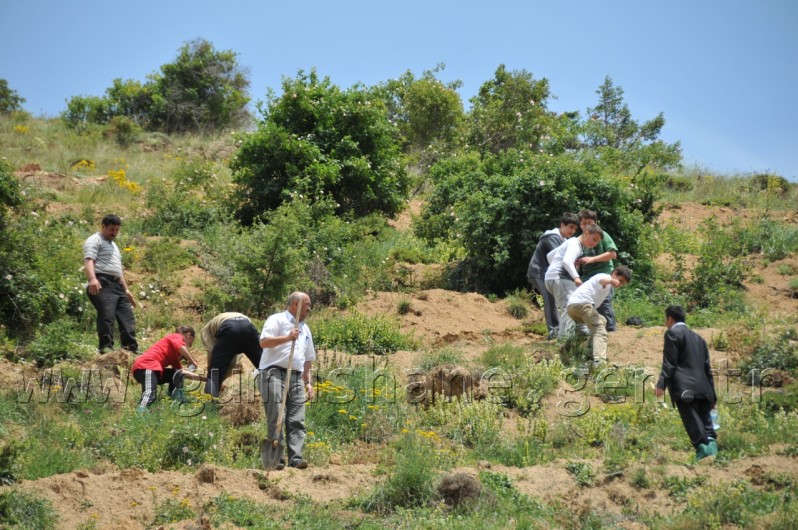İş Bankası'nın 68.Ormanı Gümüşhane'de 55