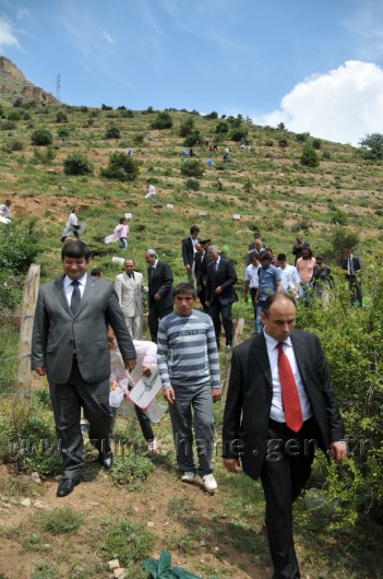 İş Bankası'nın 68.Ormanı Gümüşhane'de 56