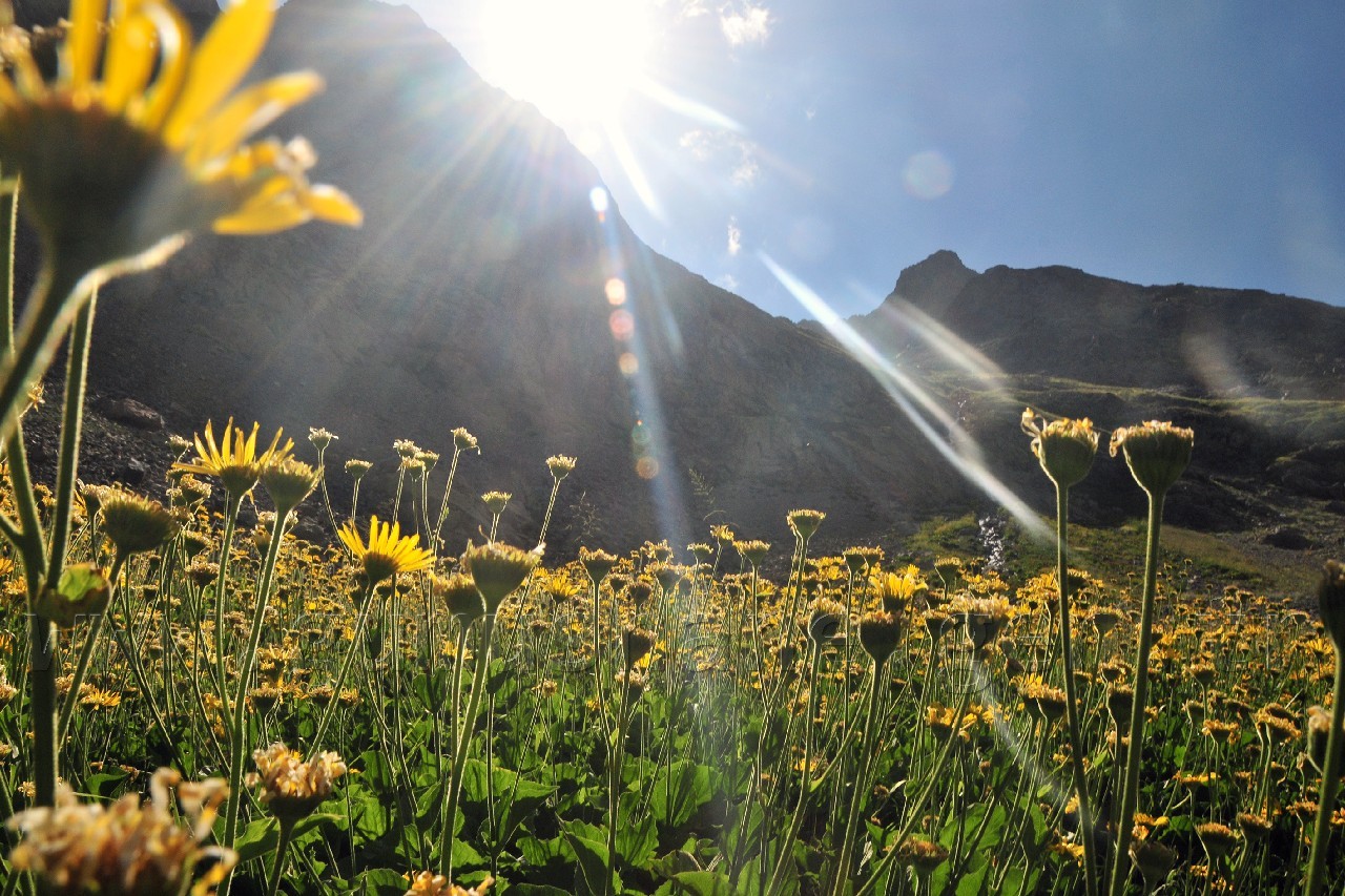 Artabel Göllerine Ulaşım Artık Yürüme 30 Dakika 39
