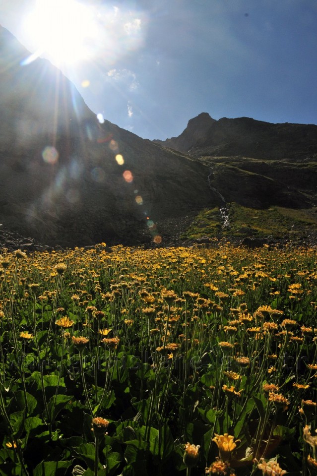 Artabel Göllerine Ulaşım Artık Yürüme 30 Dakika 40
