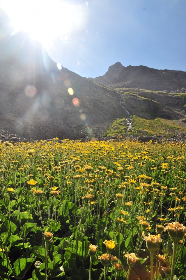 Artabel Göllerine Ulaşım Artık Yürüme 30 Dakika 41