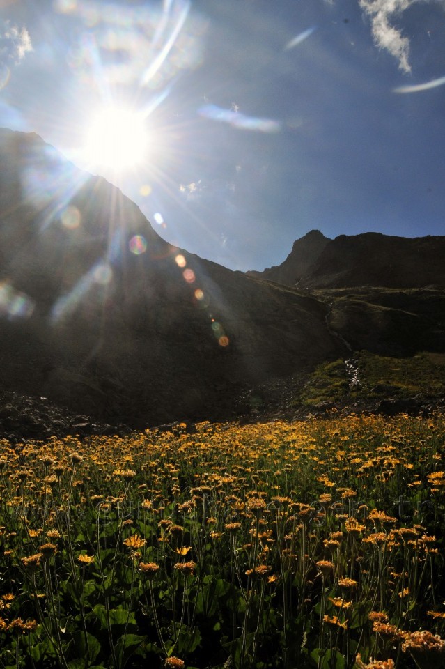 Artabel Göllerine Ulaşım Artık Yürüme 30 Dakika 42