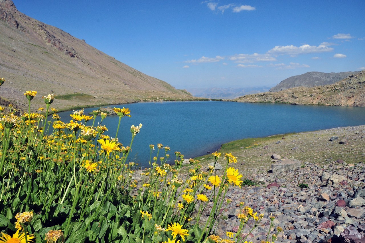 Artabel Göllerine Ulaşım Artık Yürüme 30 Dakika 44