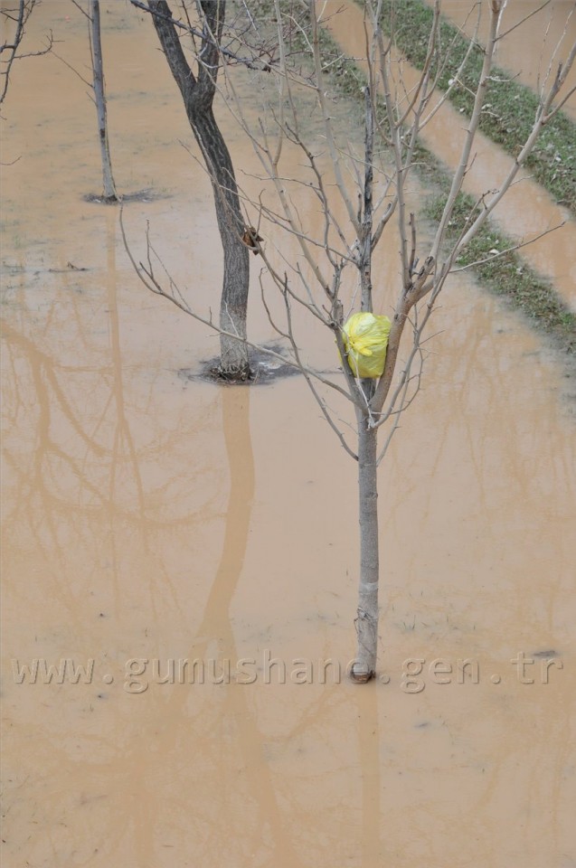 Gümüşhane'deki Şiddetli Yağış 5
