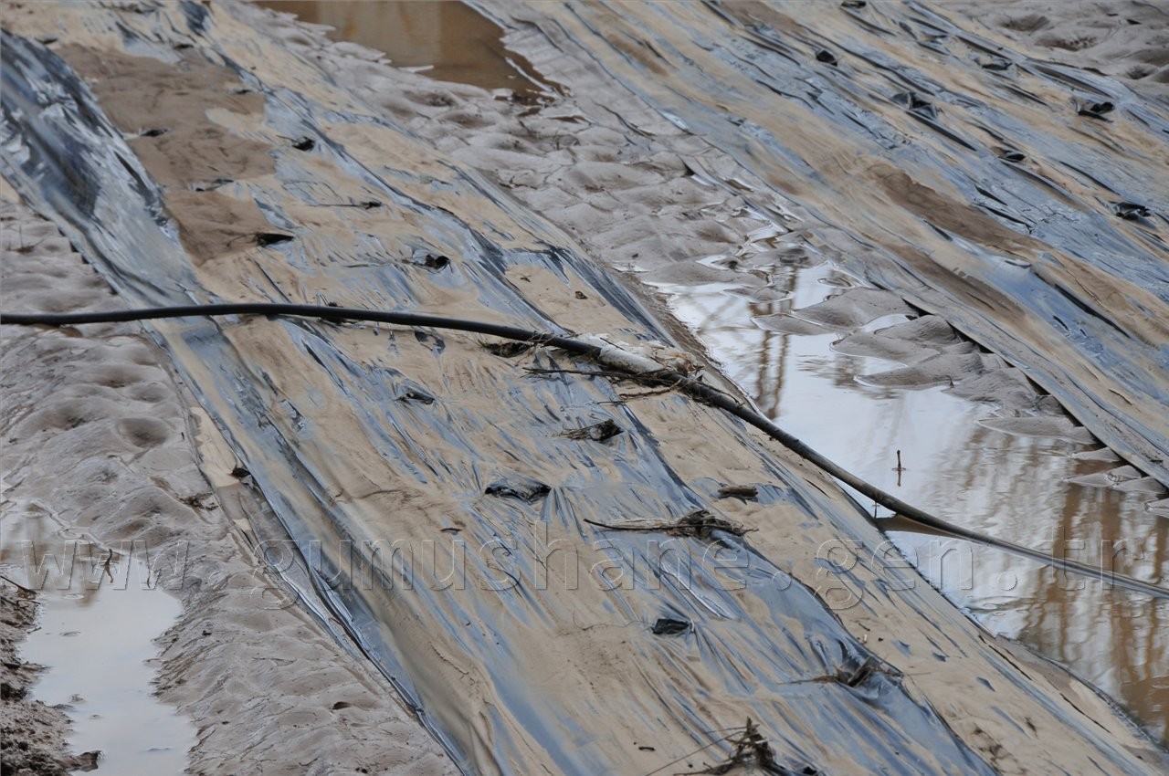 Gümüşhane'deki Şiddetli Yağış 9