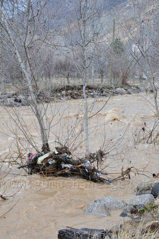 Gümüşhane'deki Şiddetli Yağış 10