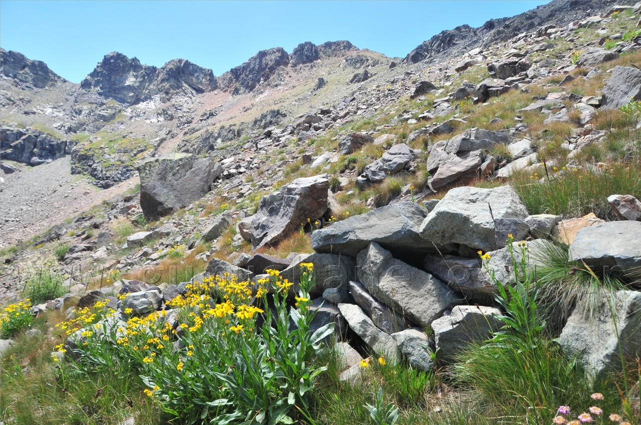 Artabel'de Şehitlik Araştırması Yapıldı 16