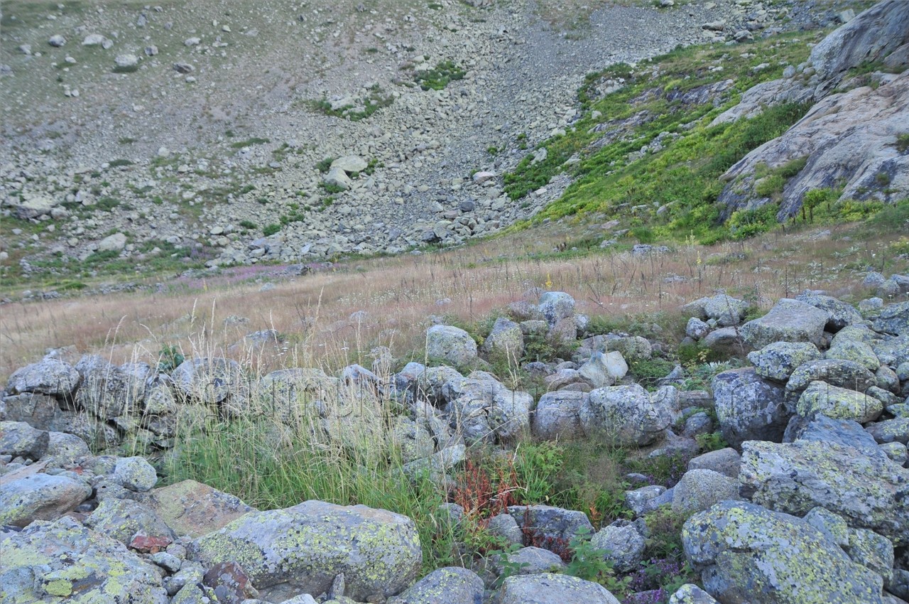 Artabel'de Şehitlik Araştırması Yapıldı 22