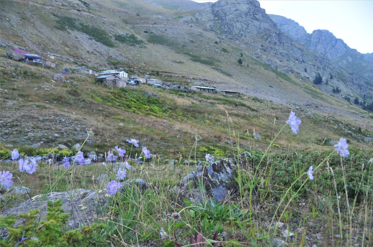 Artabel'de Şehitlik Araştırması Yapıldı 23