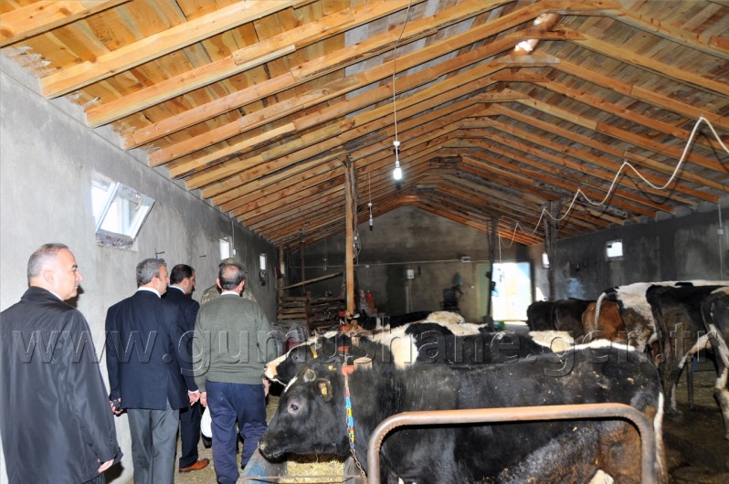 Vali Mayda Köy Gezilerinde 44