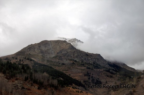Cumhuriyet Yürüyüşü, Artabel'e 4