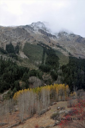 Cumhuriyet Yürüyüşü, Artabel'e 5