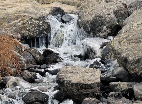 Cumhuriyet Yürüyüşü, Artabel'e 10