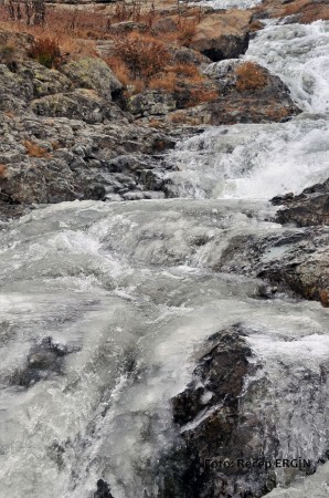 Cumhuriyet Yürüyüşü, Artabel'e 11