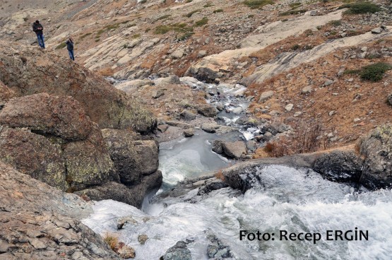 Cumhuriyet Yürüyüşü, Artabel'e 12