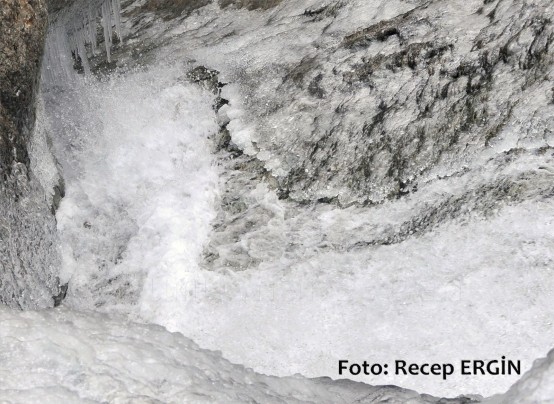 Cumhuriyet Yürüyüşü, Artabel'e 13