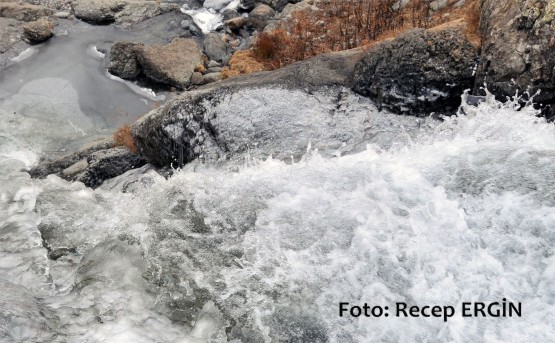 Cumhuriyet Yürüyüşü, Artabel'e 14