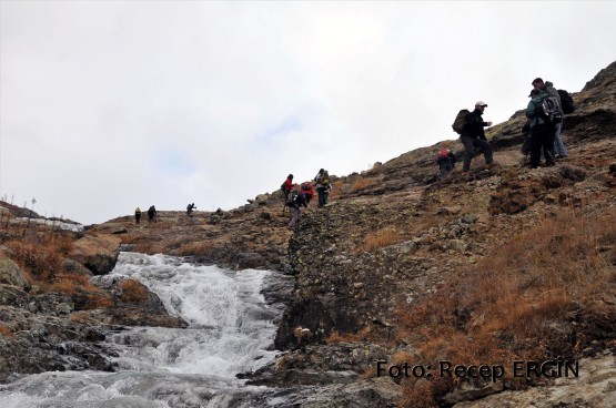 Cumhuriyet Yürüyüşü, Artabel'e 15