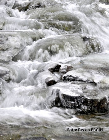 Cumhuriyet Yürüyüşü, Artabel'e 17