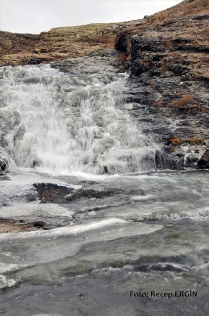 Cumhuriyet Yürüyüşü, Artabel'e 19