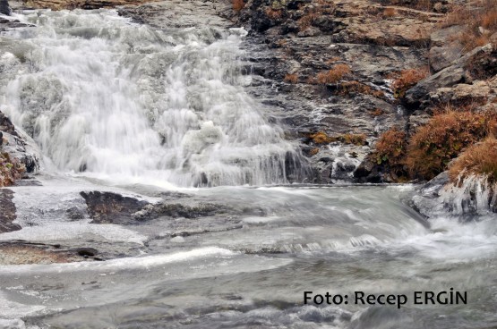 Cumhuriyet Yürüyüşü, Artabel'e 21