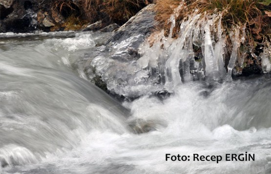 Cumhuriyet Yürüyüşü, Artabel'e 22