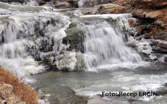 Cumhuriyet Yürüyüşü, Artabel'e 24