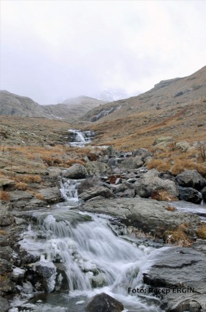 Cumhuriyet Yürüyüşü, Artabel'e 25