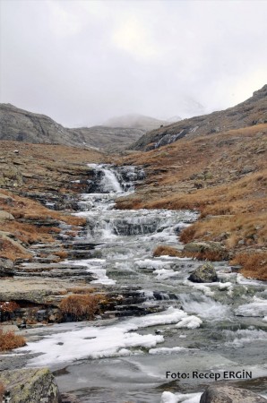 Cumhuriyet Yürüyüşü, Artabel'e 26