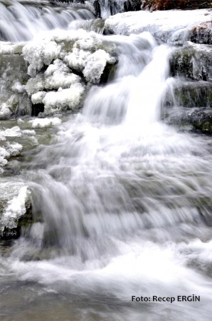 Cumhuriyet Yürüyüşü, Artabel'e 29