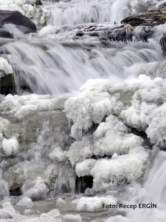 Cumhuriyet Yürüyüşü, Artabel'e 30
