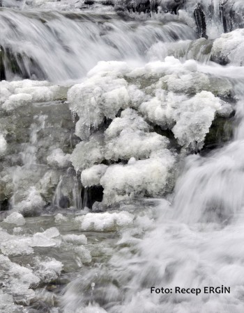 Cumhuriyet Yürüyüşü, Artabel'e 31