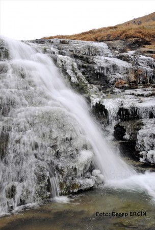 Cumhuriyet Yürüyüşü, Artabel'e 33