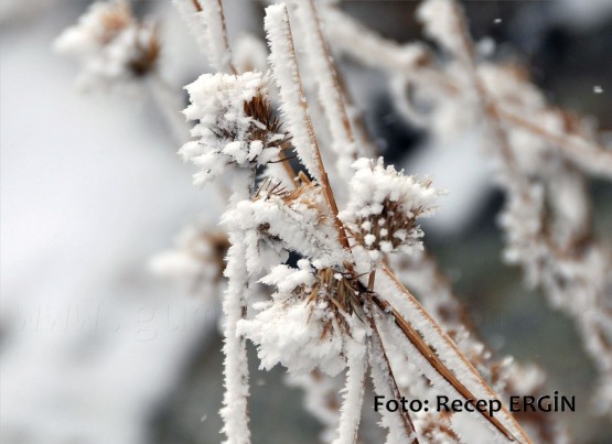 Cumhuriyet Yürüyüşü, Artabel'e 39