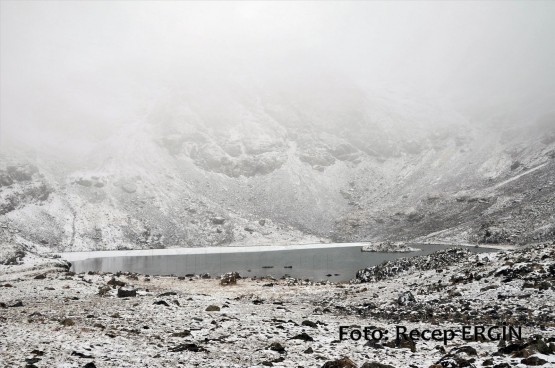 Cumhuriyet Yürüyüşü, Artabel'e 41