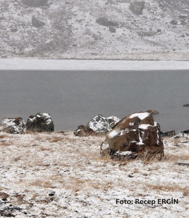 Cumhuriyet Yürüyüşü, Artabel'e 42