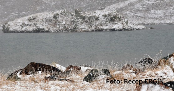 Cumhuriyet Yürüyüşü, Artabel'e 43