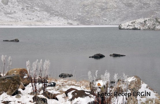 Cumhuriyet Yürüyüşü, Artabel'e 44