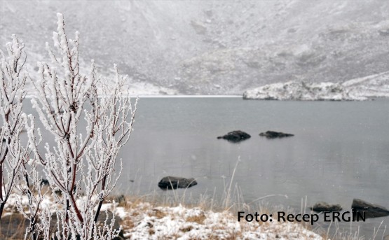 Cumhuriyet Yürüyüşü, Artabel'e 45