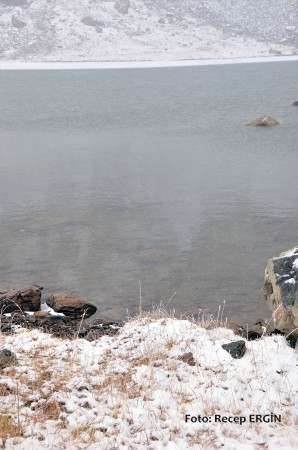 Cumhuriyet Yürüyüşü, Artabel'e 46