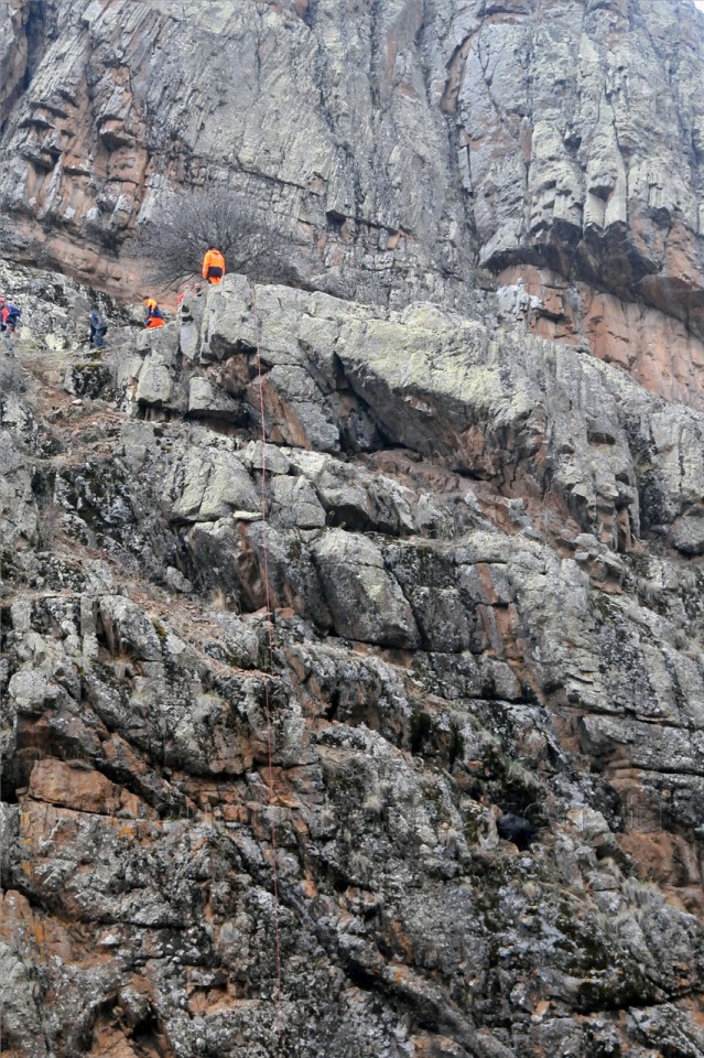 Gümüşhane'de Keçi Kurtarma Operasyonu 8