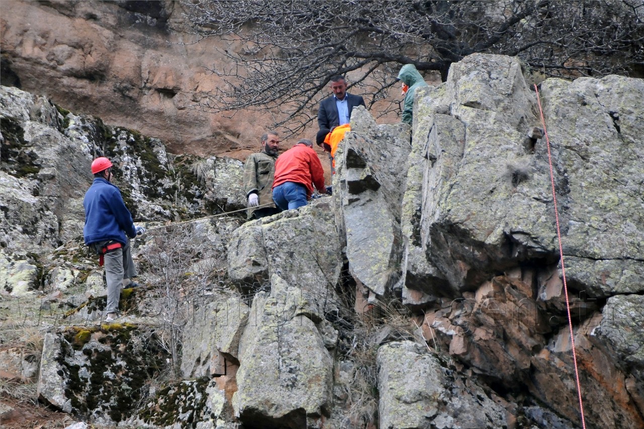 Gümüşhane'de Keçi Kurtarma Operasyonu 12